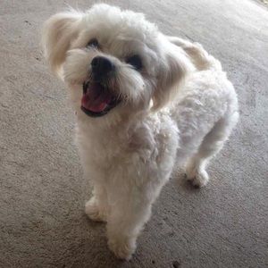 Meet your Posher, Sandra